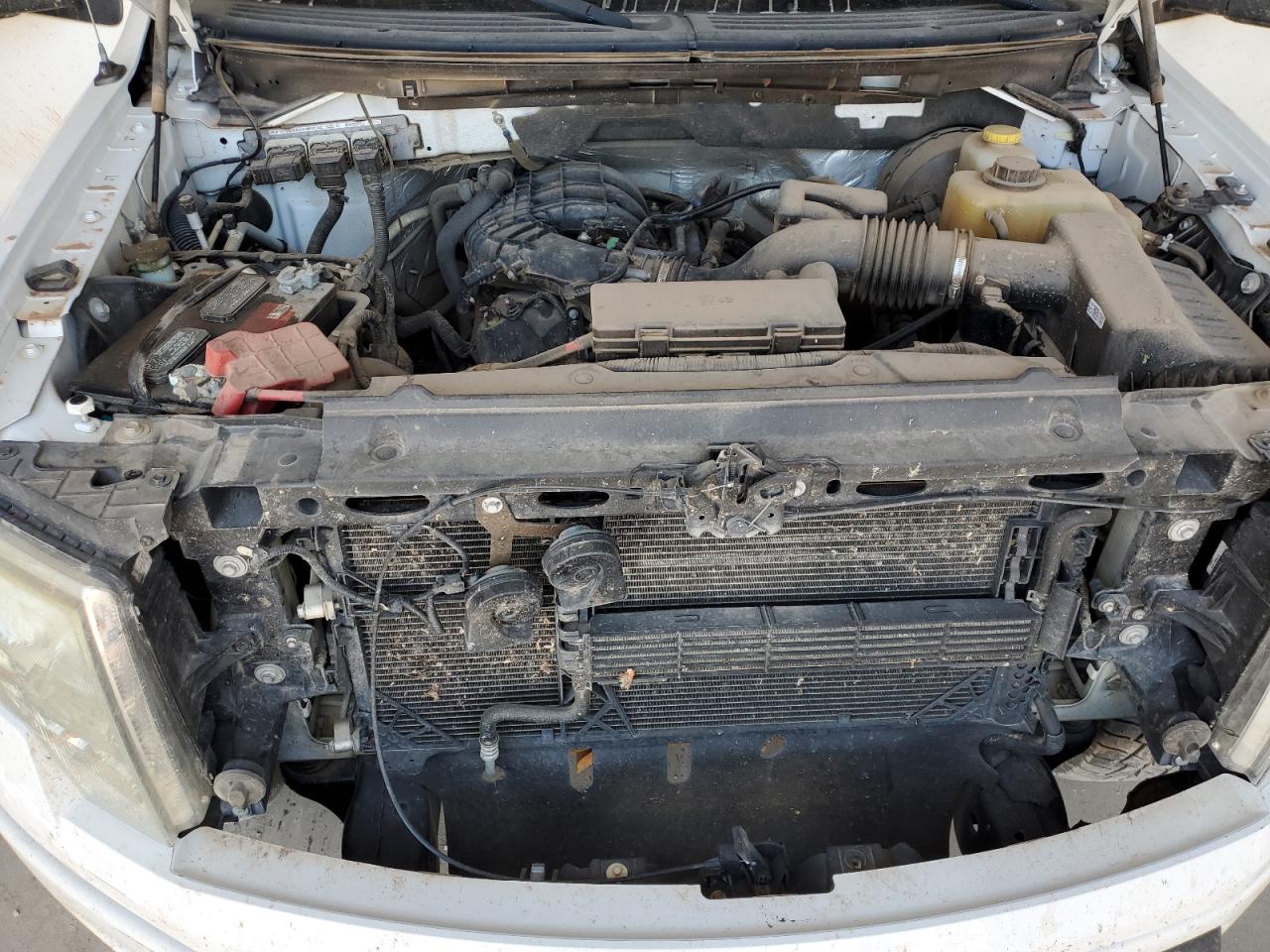 2014 Ford F-150 VIN 1FTEX1CM3EKE99099 Copart auction photo, side / hail damage thumbnail 12