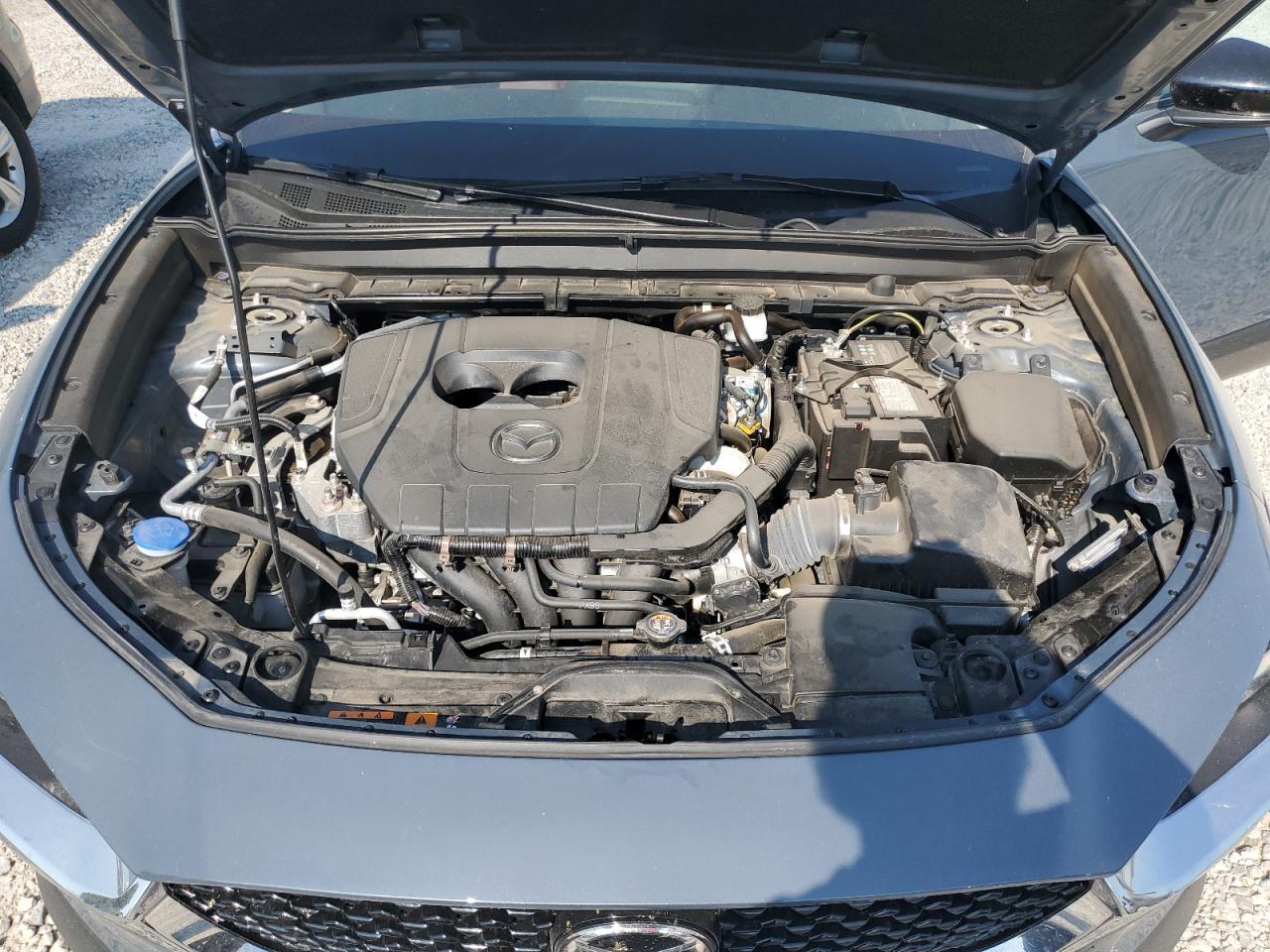 2023 Mazda CX-30 VIN 3MVDMBCM0PM515814 Copart auction photo, hail damage thumbnail 12
