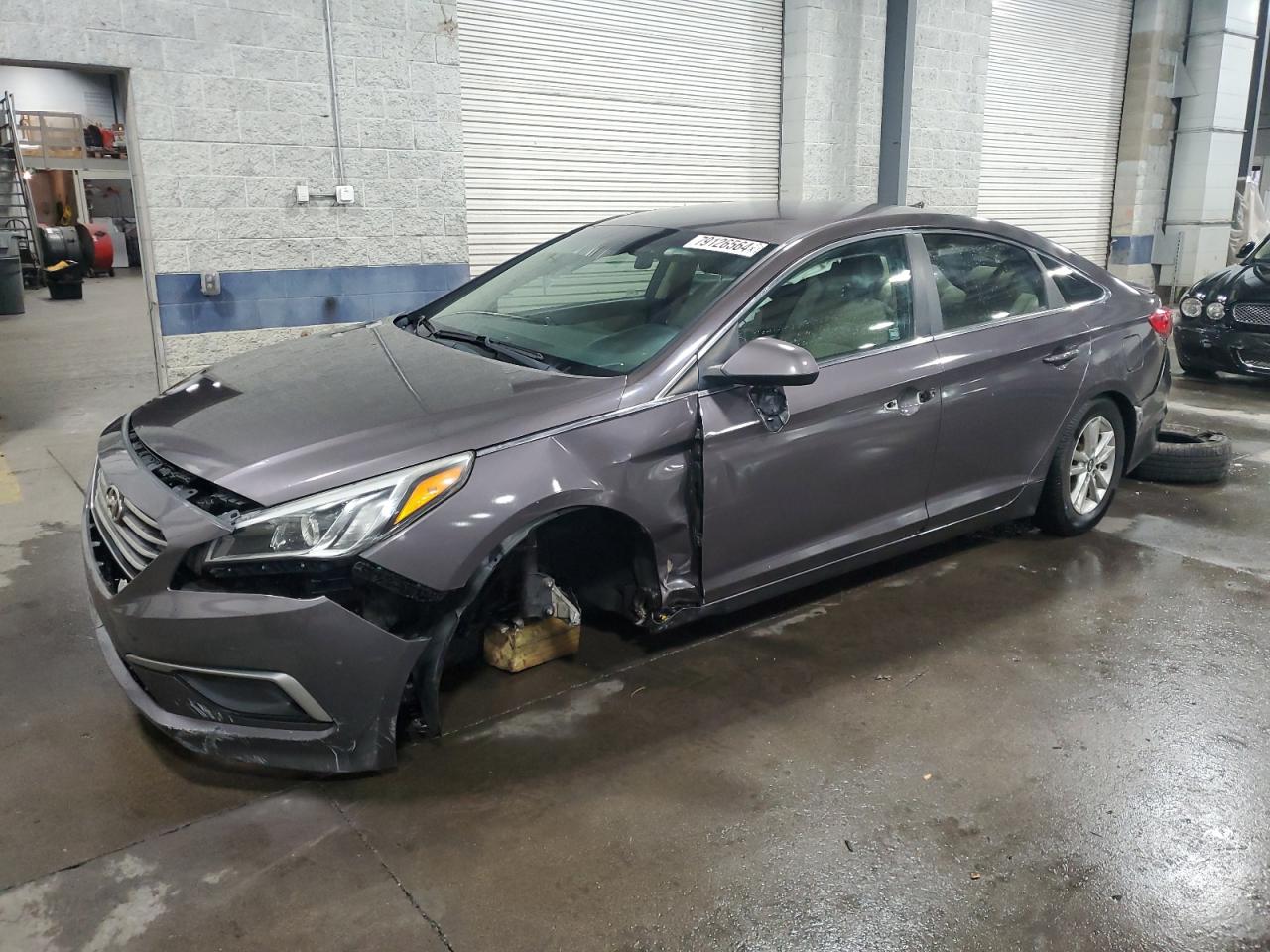 2017 Hyundai Sonata VIN 5NPE24AF5HH504262