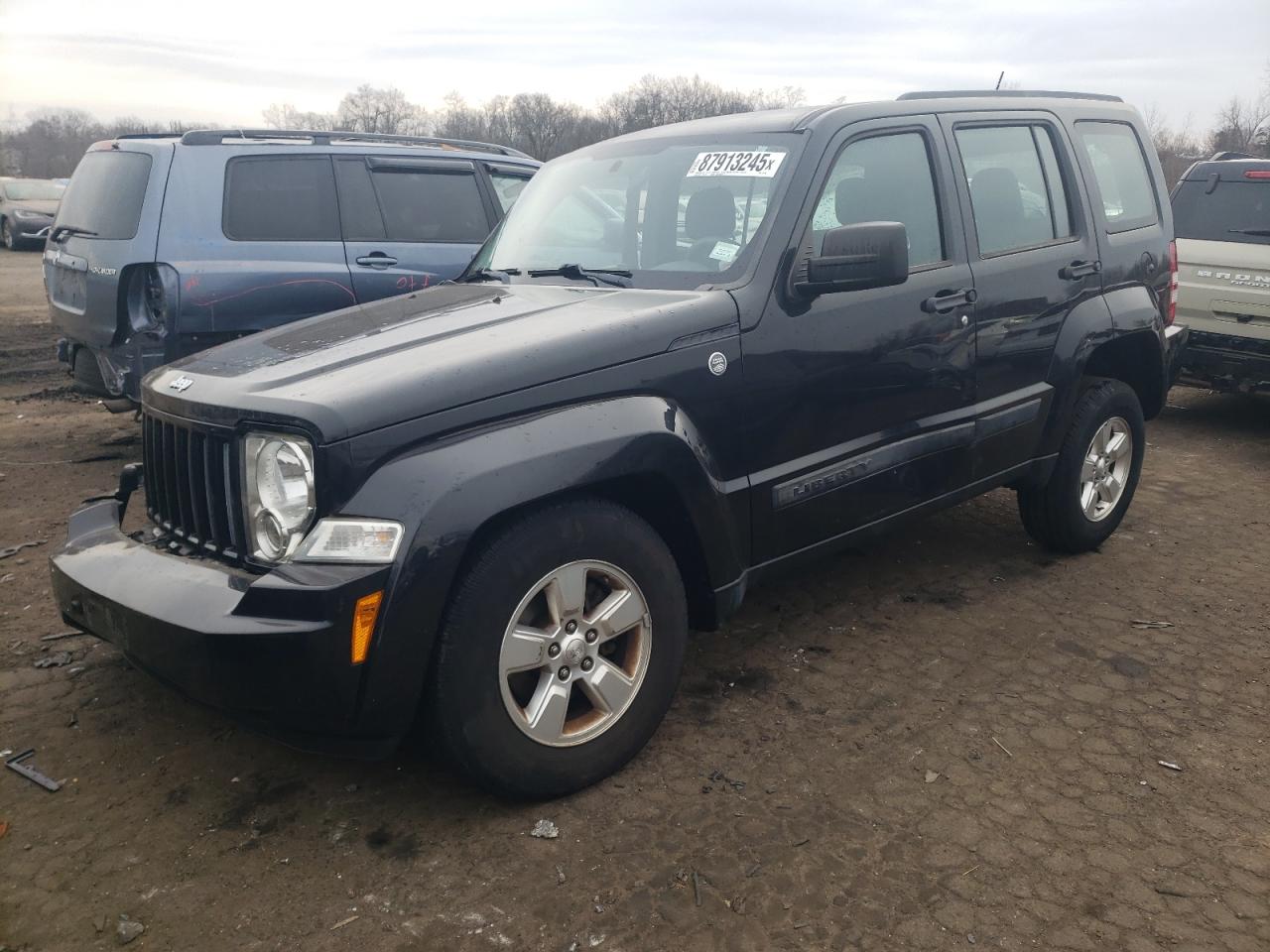 2012 Jeep Liberty (North America) VIN 1C4PJMAK8CW173396