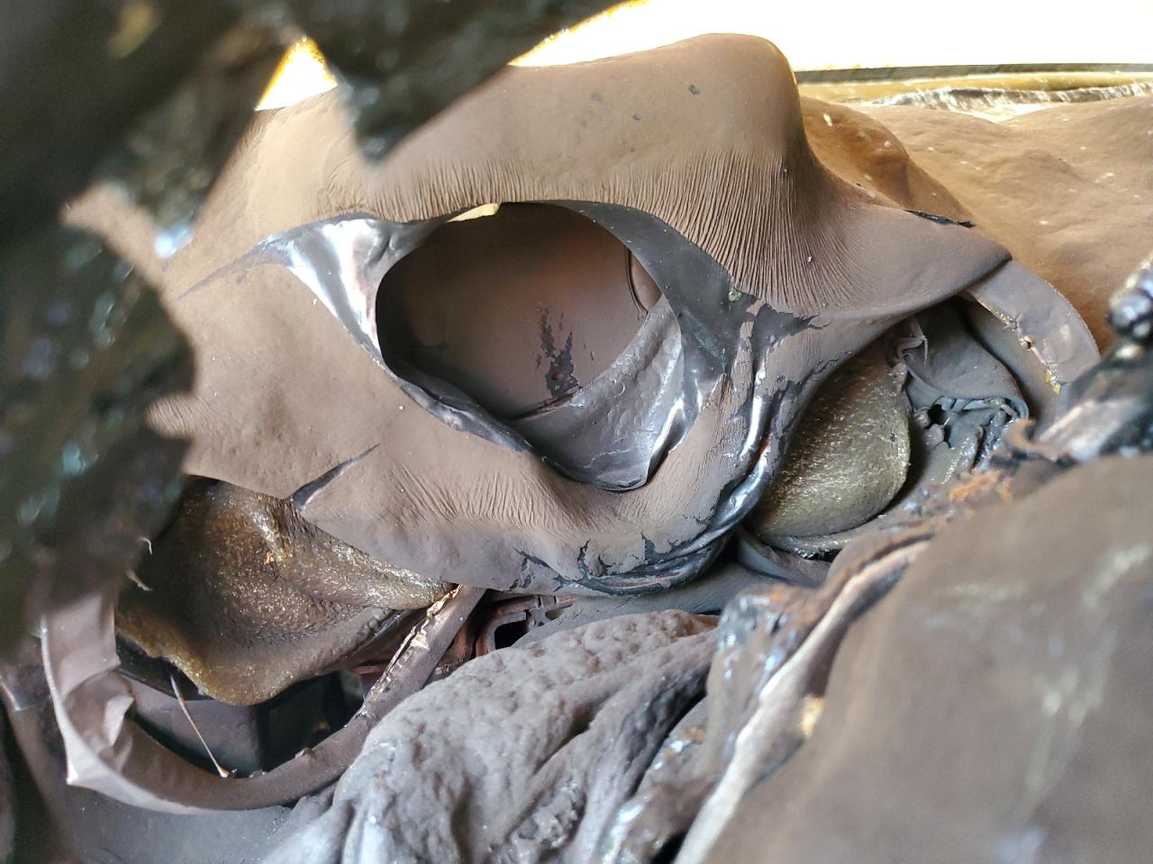 2013 Dodge Caravan VIN 2C4RDGBG3DR592245 Copart auction photo, burn damage thumbnail 9