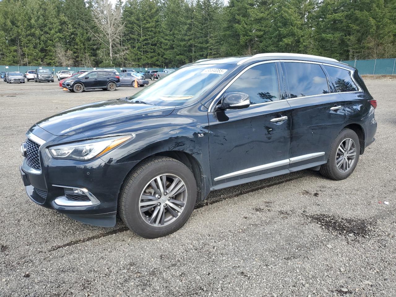 2019 Infiniti QX60 VIN 5N1DL0MMXKC551040 - Copart auction photo