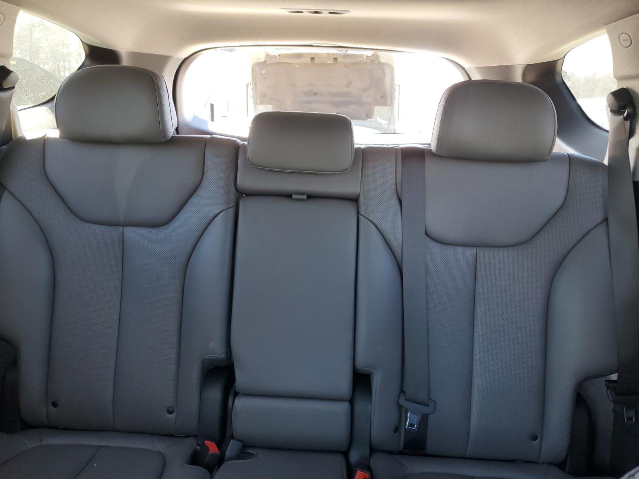 2020 Hyundai Santa Fe VIN 5NMS5CAD6LH274031 Copart auction photo, rear end damage thumbnail 10