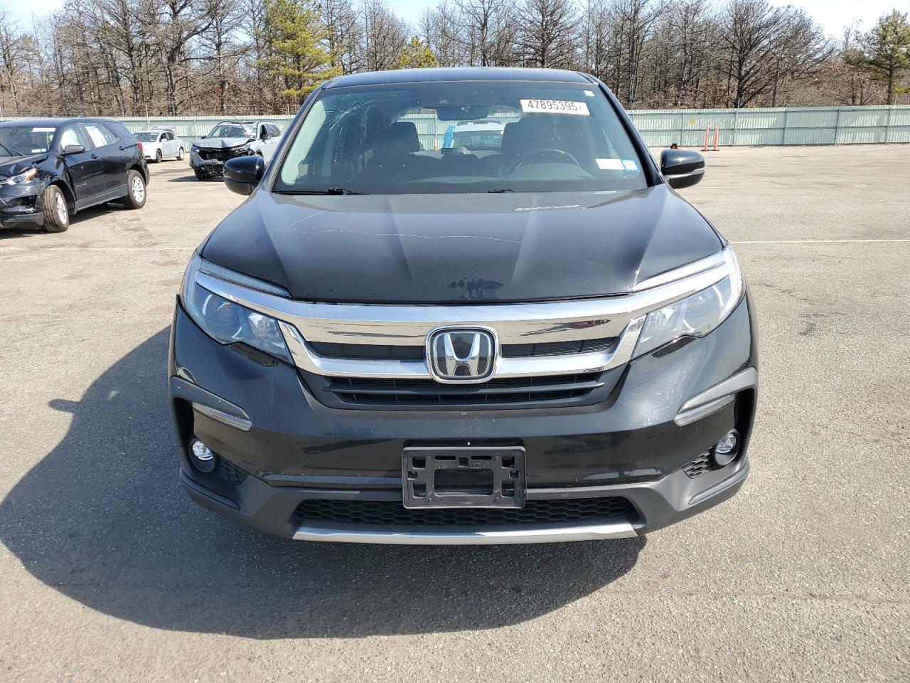 2019 Honda Pilot VIN 5FNYF6H54KB100966 Copart auction photo, vandalism damage thumbnail 5