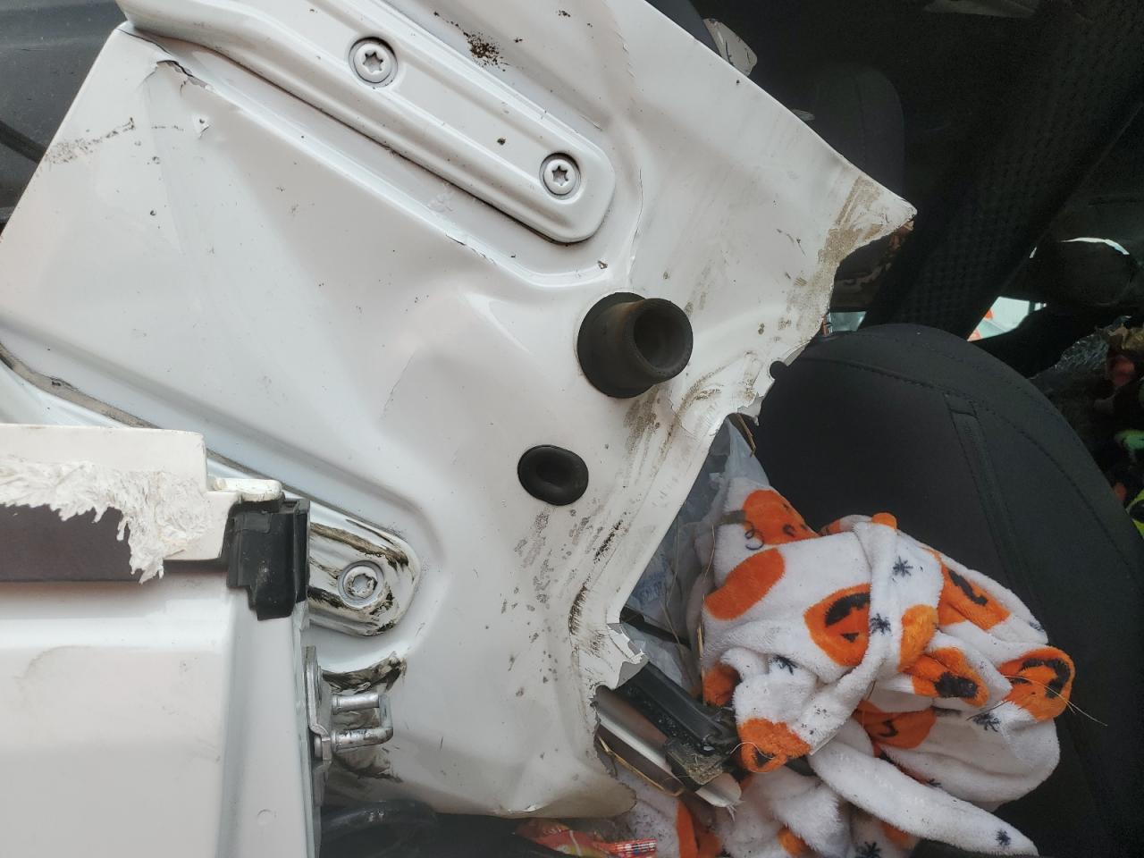 2020 Jeep Wrangler VIN 1C4HJXEN4LW209742 Copart auction photo, top/roof / all over damage thumbnail 10