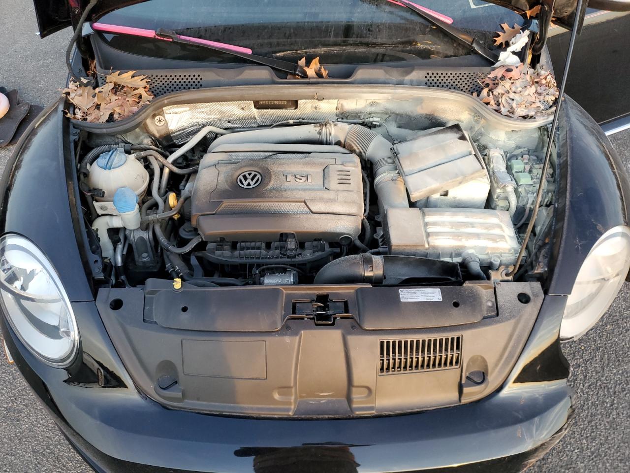 2015 Volkswagen Beetle VIN 3VW517AT3FM808723 Copart auction photo, front end / burn - engine damage thumbnail 12