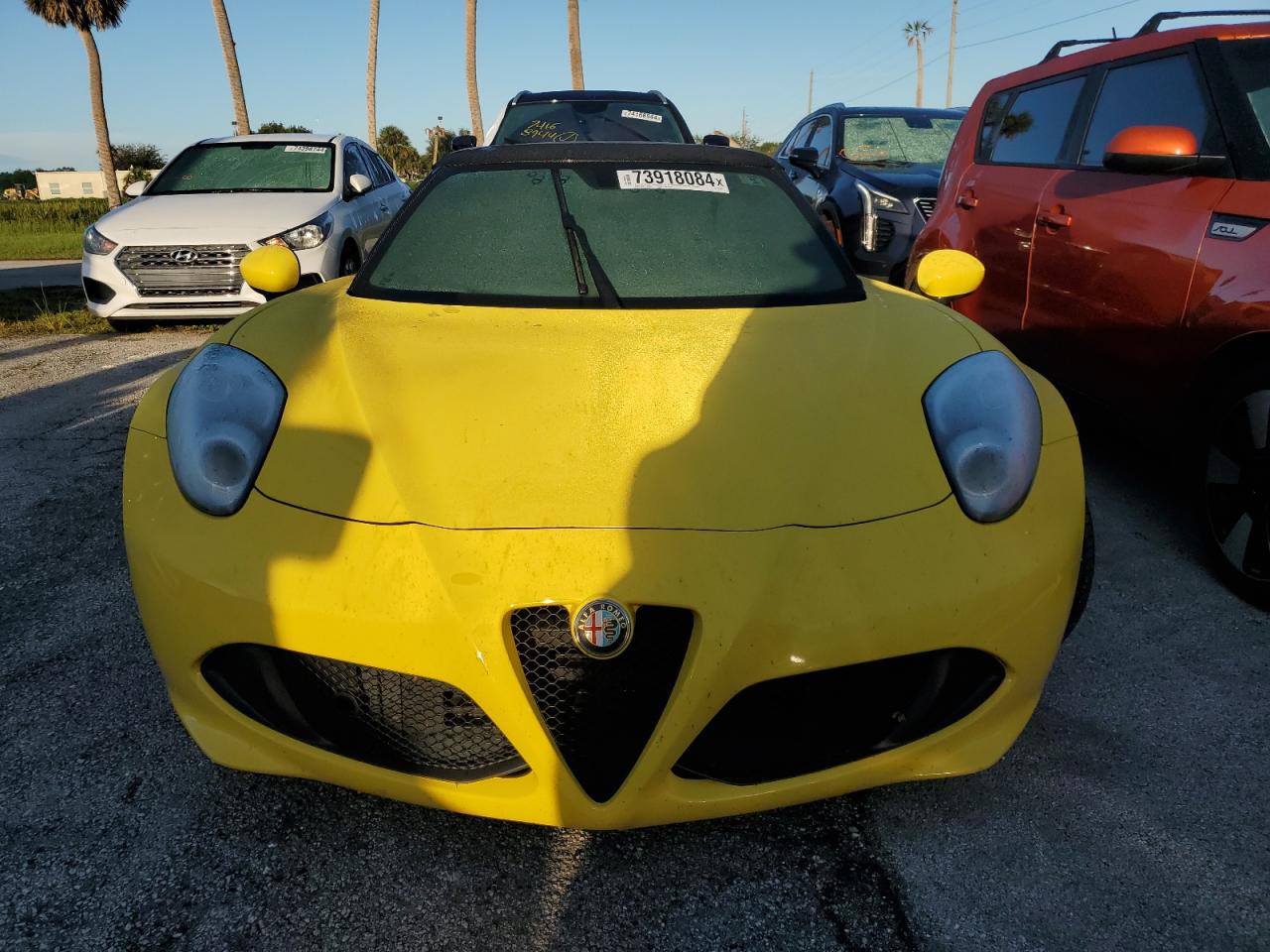 2016 Alfa Romeo 4C VIN ZARBAAB44GM181561 Copart auction photo, water/flood damage thumbnail 5