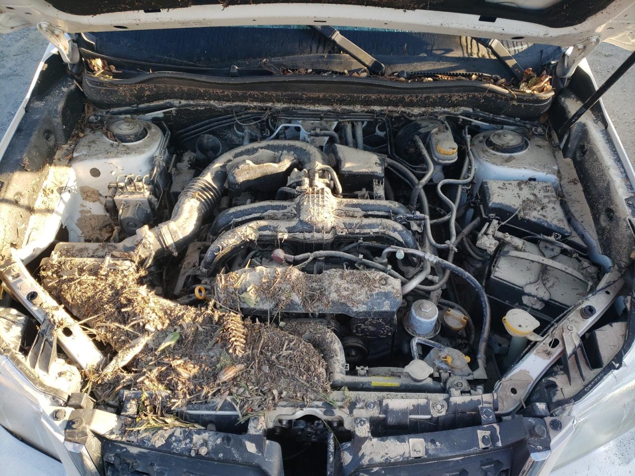 2014 Subaru Forester VIN JF2SJAEC1EH535329 Copart auction photo, water/flood damage thumbnail 12