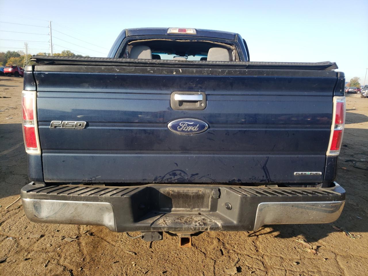 2013 Ford F-150 VIN 1FTFW1EF4DFA78702 Copart auction photo, side damage thumbnail 6