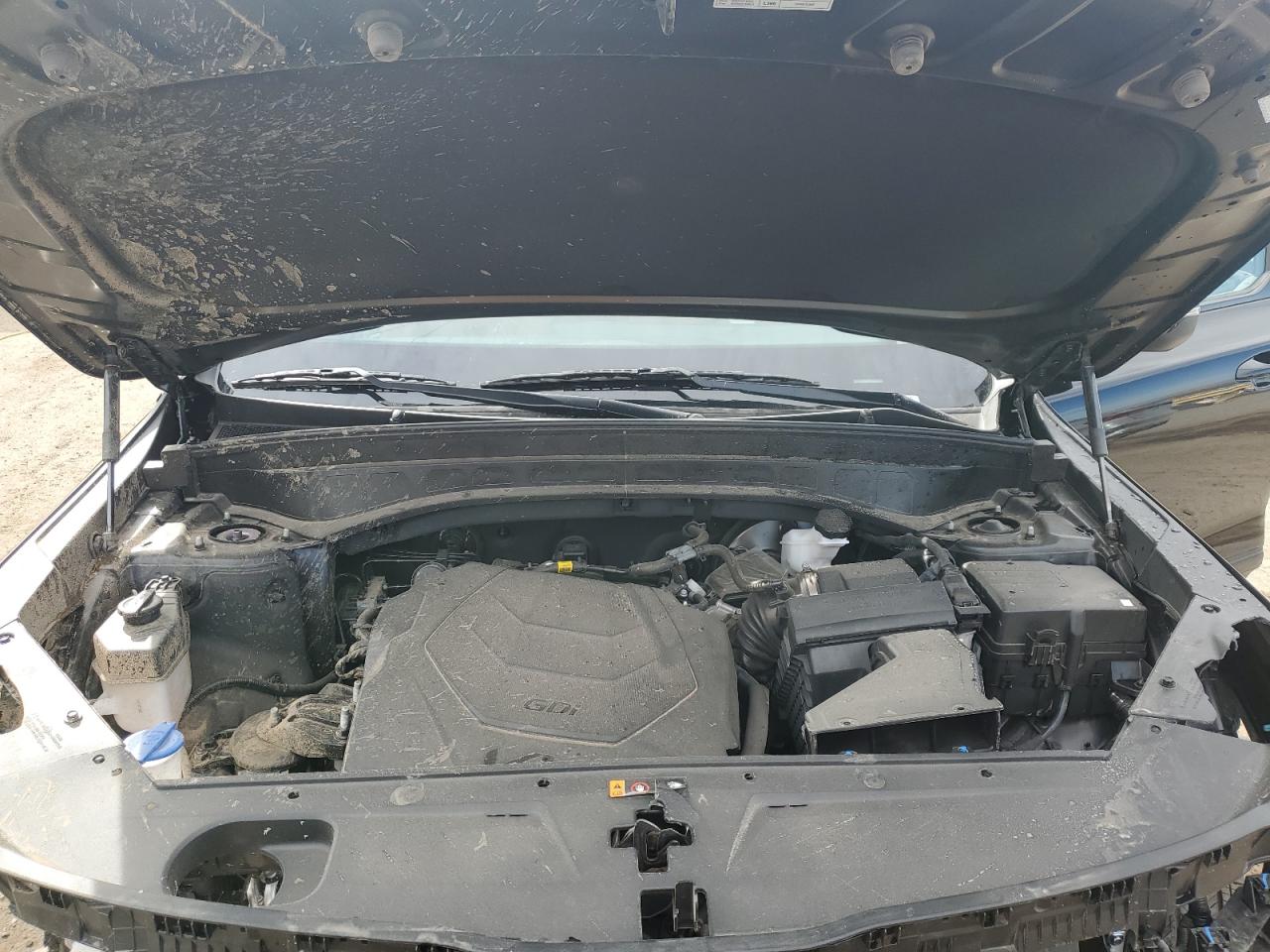 2025 KIA Telluride VIN 5XYP3DGC2SG583813 Copart auction photo, rollover damage thumbnail 12