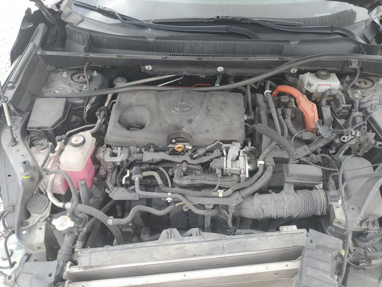 2019 Toyota RAV 4 VIN 2T3MWRFV1KW033885 Copart auction photo, front end / minor dent/scratches damage thumbnail 12