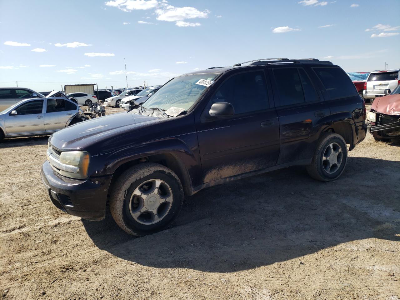 2008 Chevrolet TrailBlazer VIN 1GNDT13S982106806