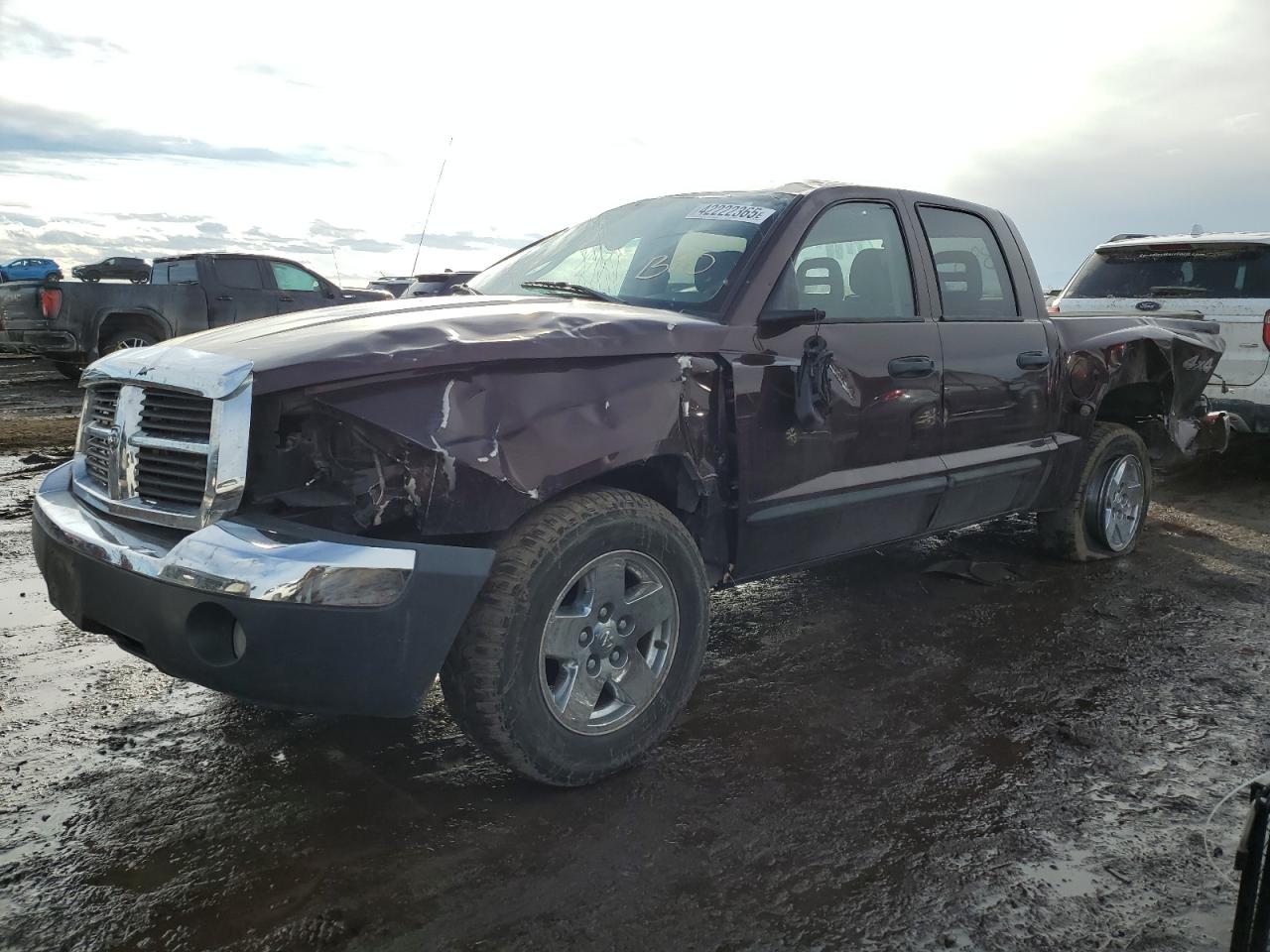 2005 Dodge Dakota VIN 1D7HW48N25S250446