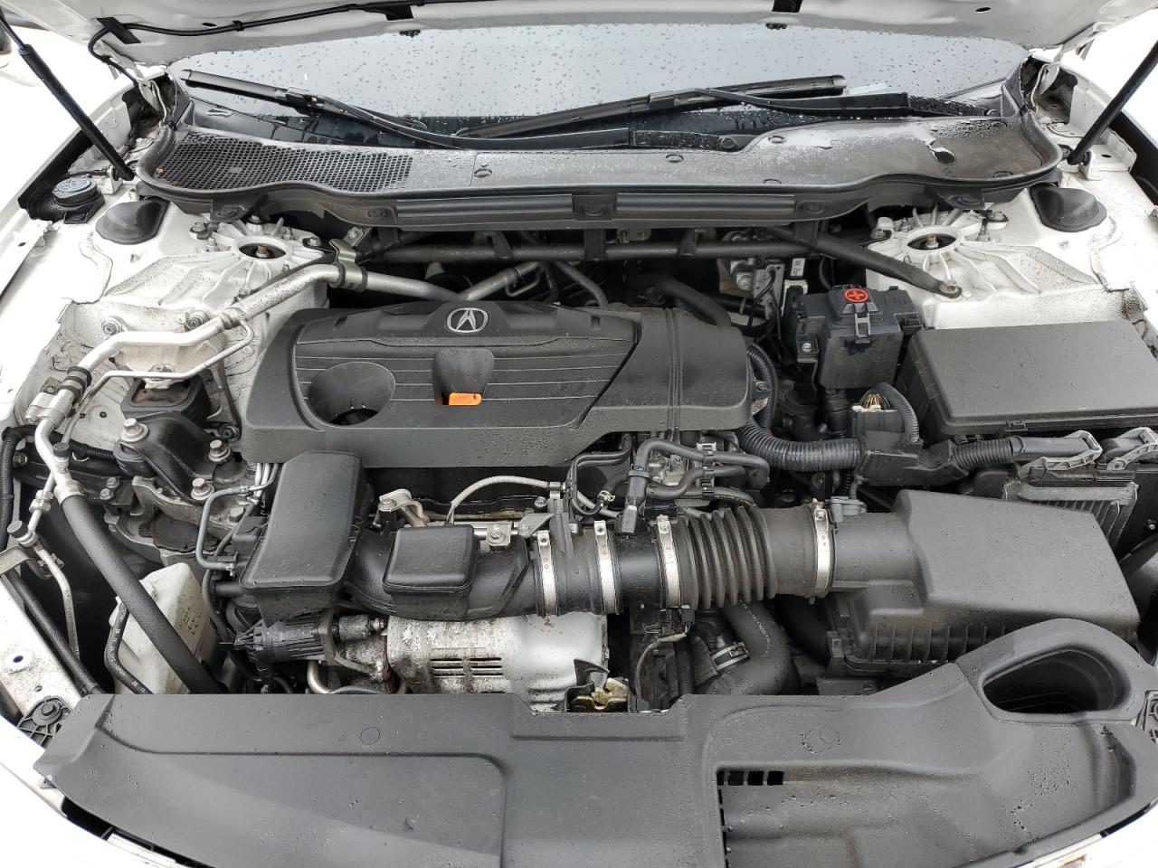 2021 Acura TLX VIN 19UUB5F54MA010446 Copart auction photo, vandalism damage thumbnail 11