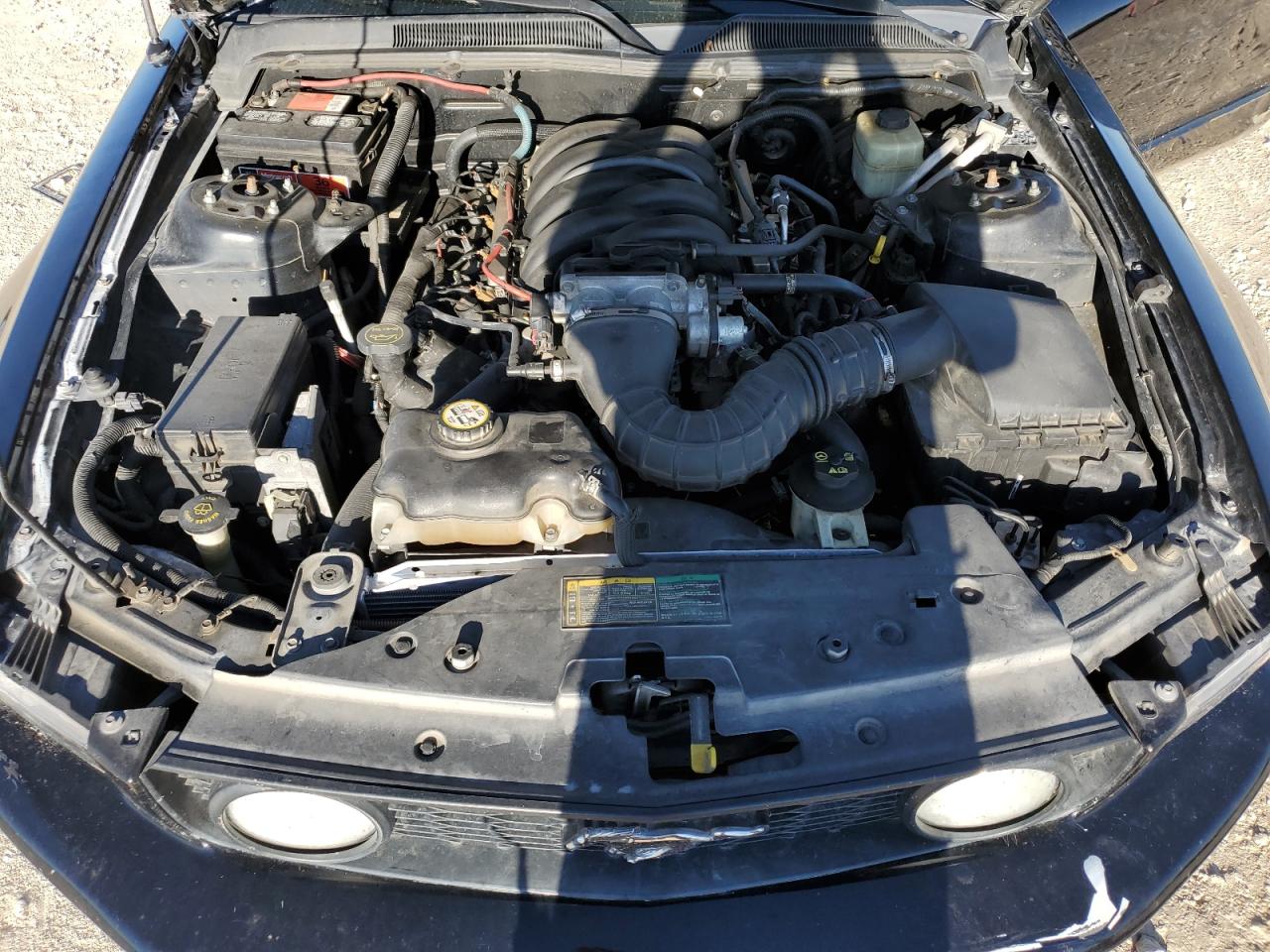 2006 Ford Mustang VIN 1ZVFT82H265145973 Copart auction photo, all over damage thumbnail 11