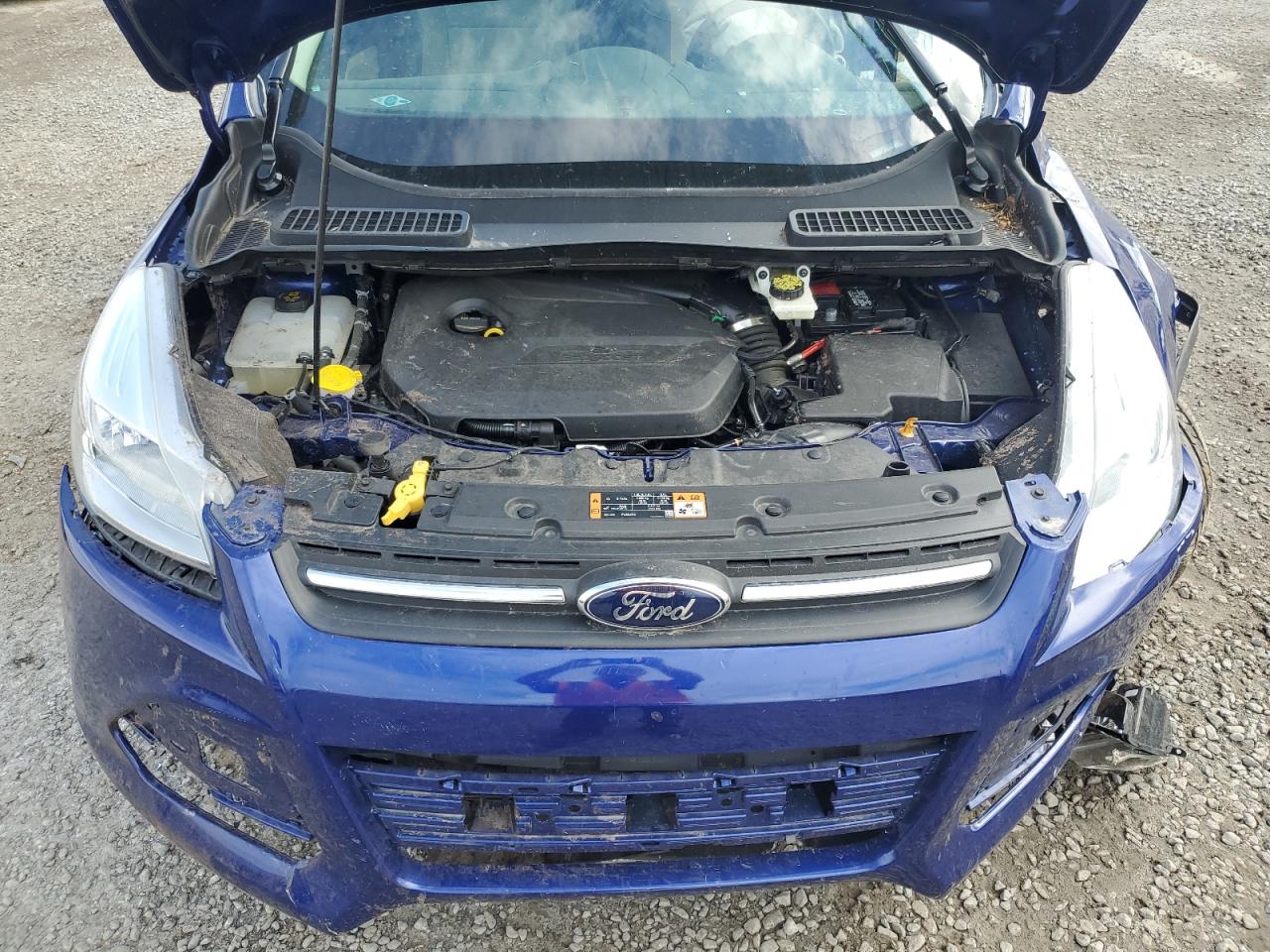 2014 Ford Escape VIN 1FMCU0GX7EUC64669 Copart auction photo, all over damage thumbnail 13