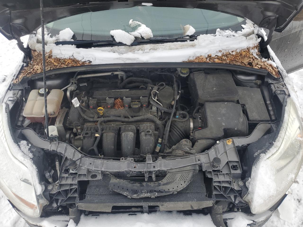 2013 Ford Focus VIN 1FADP3F29DL150755 Copart auction photo, front end / side damage thumbnail 12