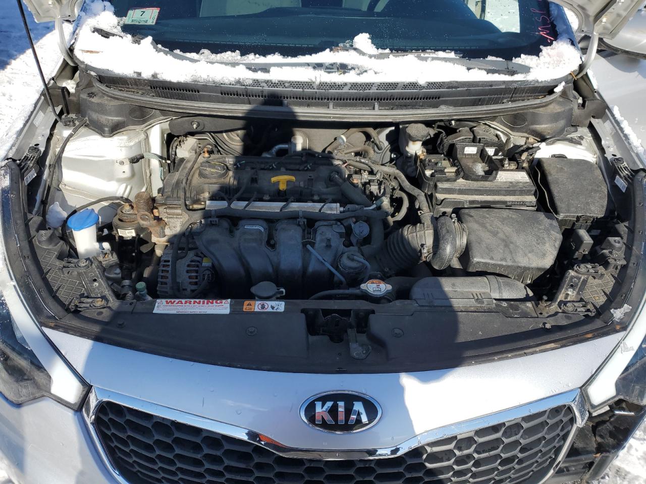 2014 KIA Forte VIN KNAFK4A67E5125602 Copart auction photo, front end / minor dent/scratches damage thumbnail 11