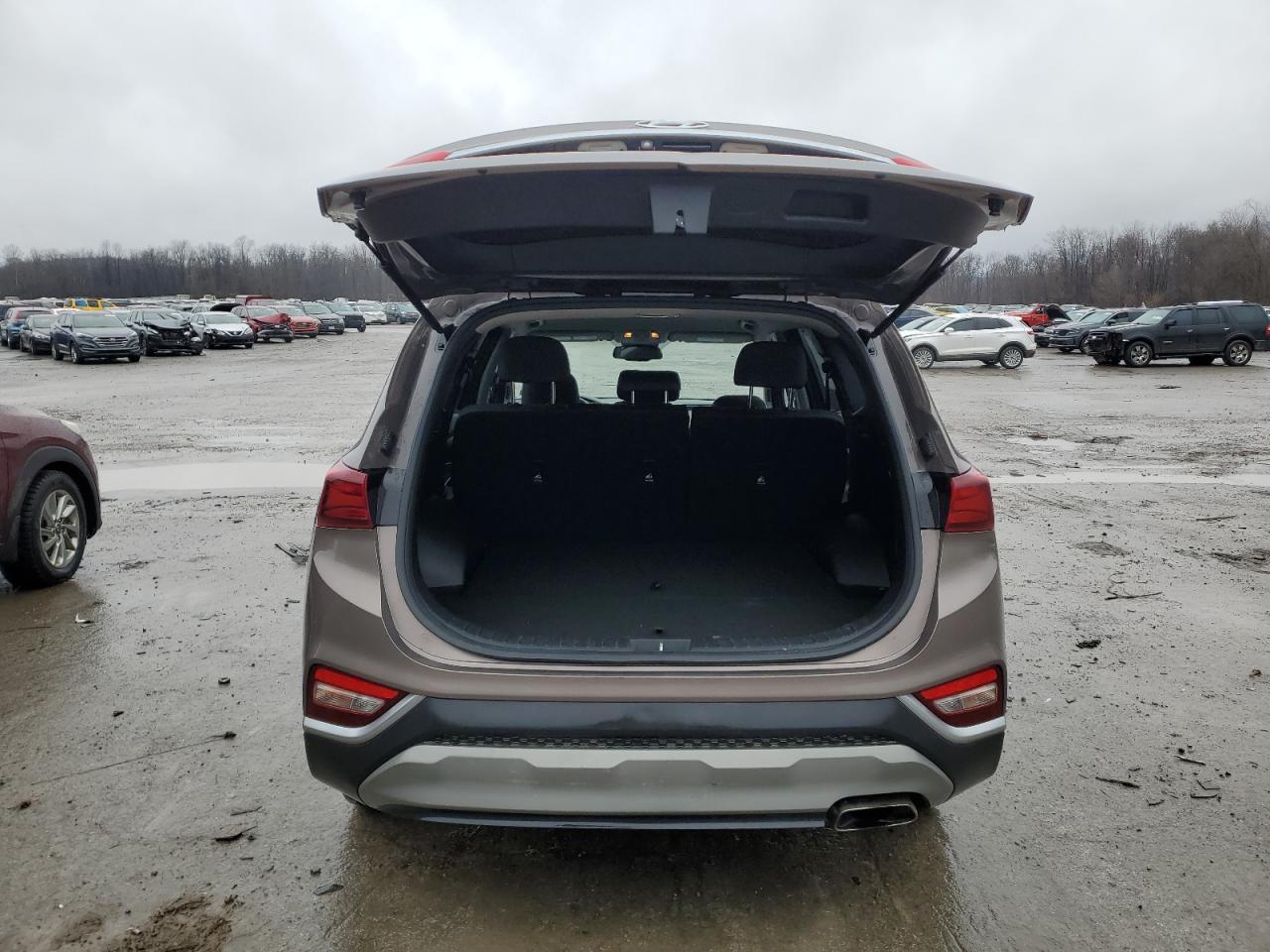 2020 Hyundai Santa Fe VIN 5NMS3CAD1LH214048 Copart auction photo, front end damage thumbnail 6