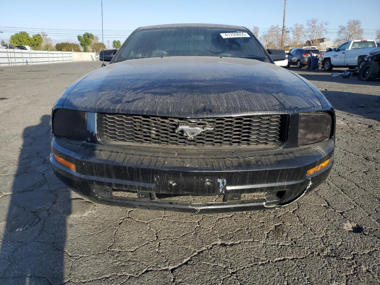 2005 Ford Mustang VIN 1ZVFT80N555146767 Copart auction photo, minor dent/scratches damage thumbnail 5