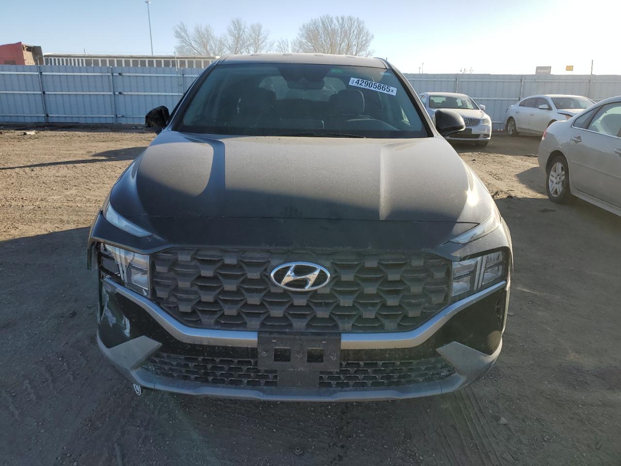 2021 Hyundai Santa Fe VIN 5NMS1DAJXMH329833 Copart auction photo, all over damage thumbnail 5