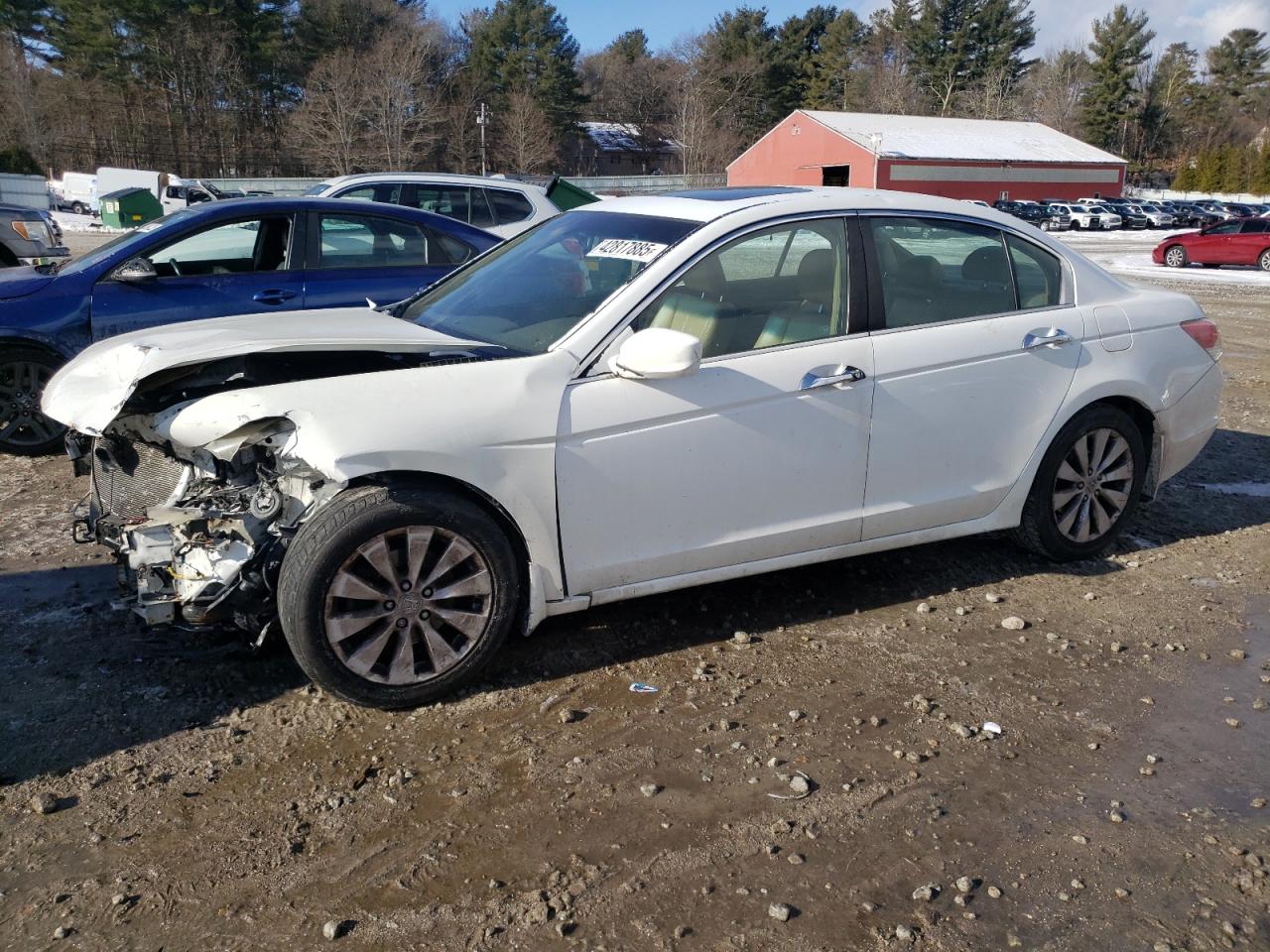 2009 Honda Accord VIN 1HGCP26879A088443
