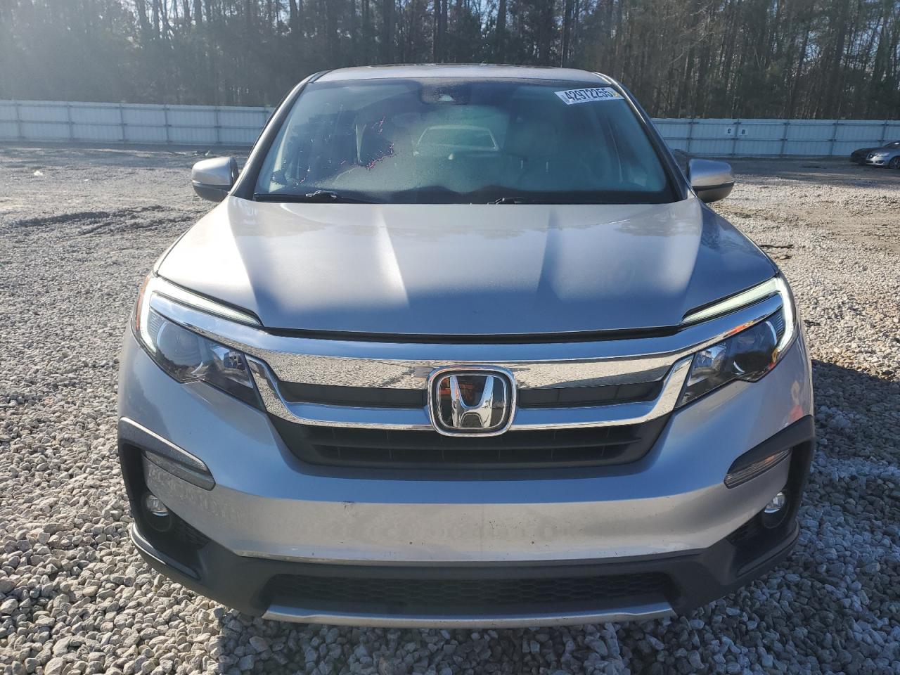 2022 Honda Pilot VIN 5FNYF5H58NB009102 Copart auction photo, side / minor dent/scratches damage thumbnail 5