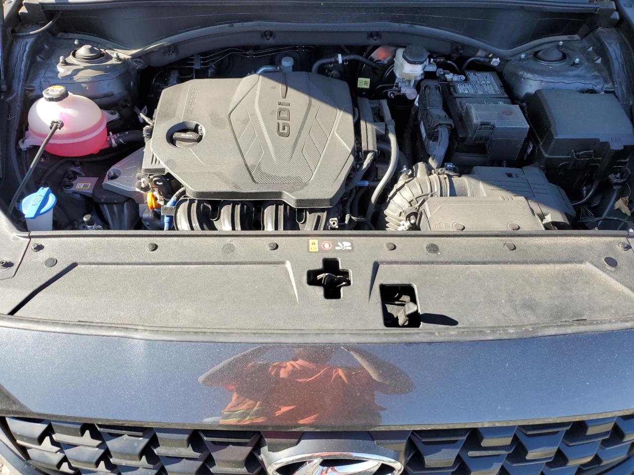 2023 Hyundai Santa Fe VIN 5NMS6DAJ7PH616861 Copart auction photo, side / rear end damage thumbnail 12