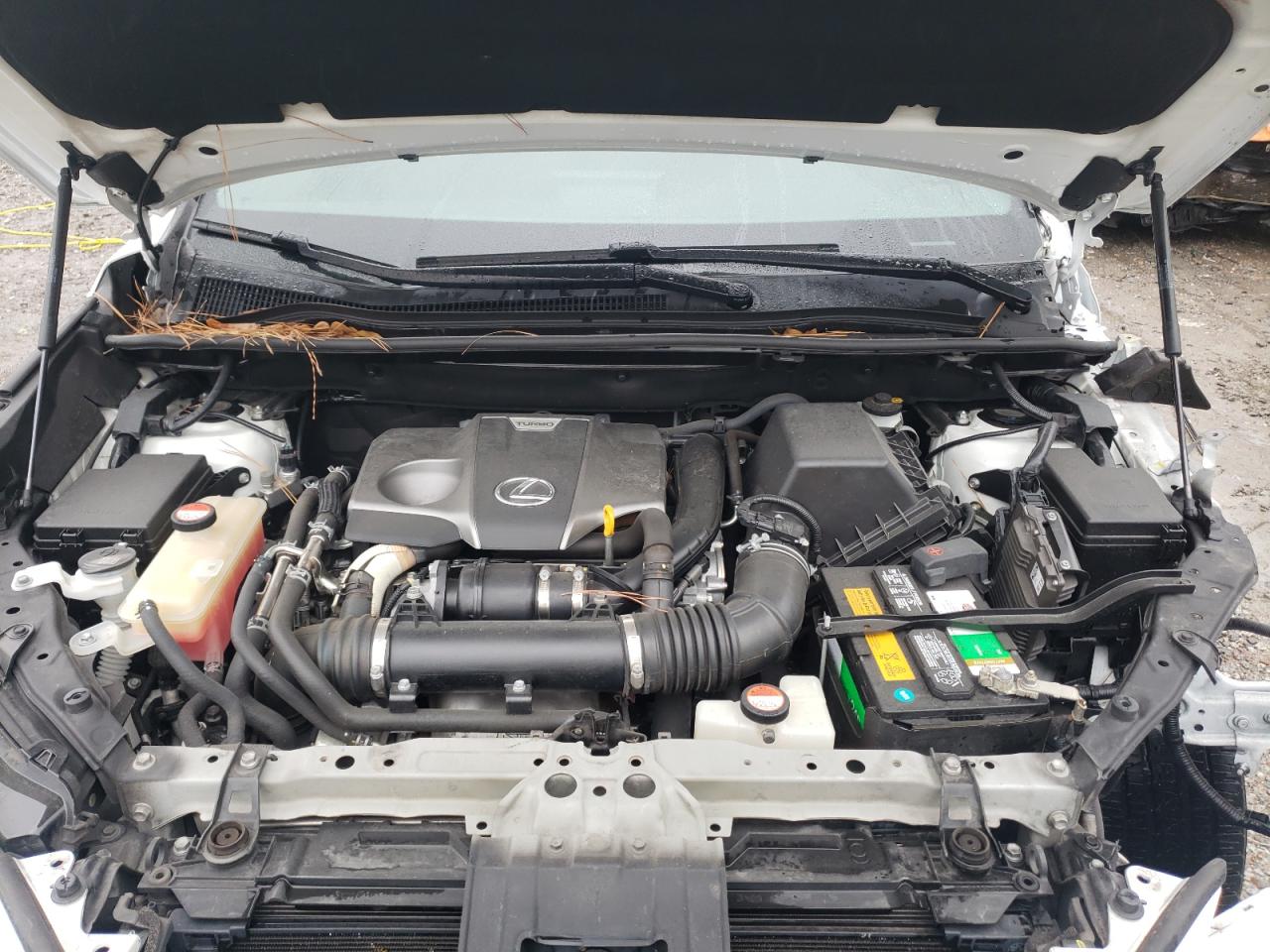 2016 Lexus NX VIN JTJYARBZ5G2034995 Copart auction photo, front end damage thumbnail 12