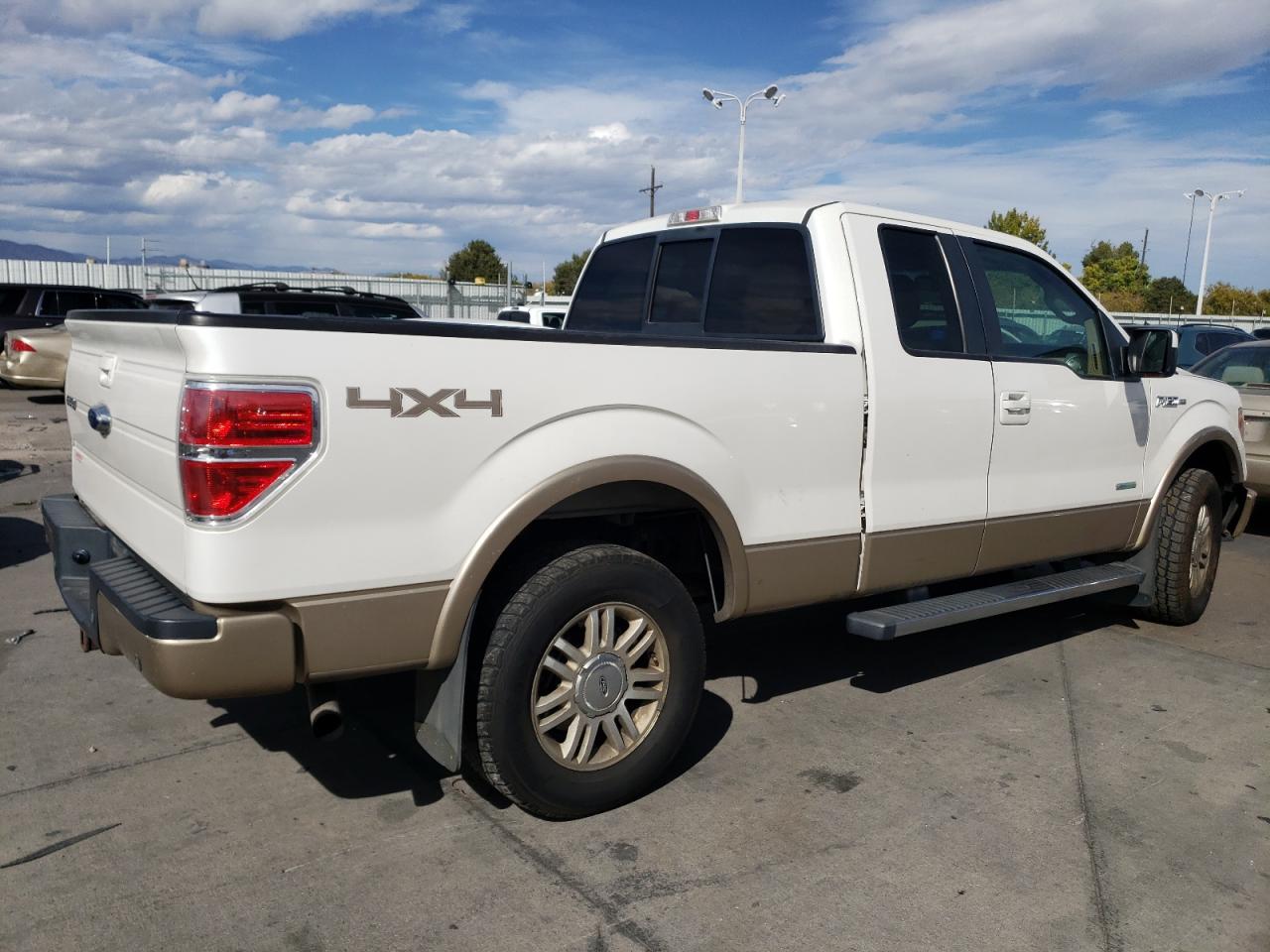 2013 Ford F-150 VIN 1FTFX1ET0DFB10077 Copart auction photo, front end / hail damage thumbnail 3