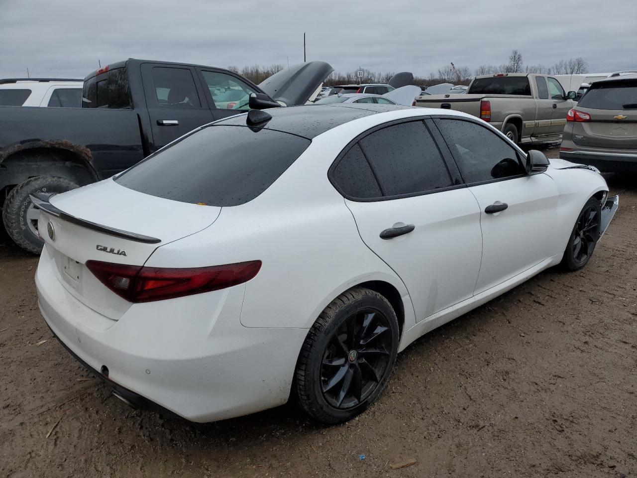 2020 Alfa Romeo Giulia VIN ZARFANAN5L7625929 Copart auction photo, front end / minor dent/scratches damage thumbnail 3