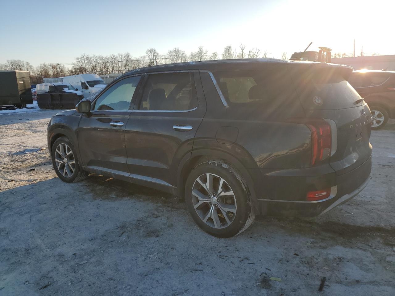 2020 Hyundai Palisade VIN KM8R3DHE9LU087721 Copart auction photo, side / top/roof damage thumbnail 2