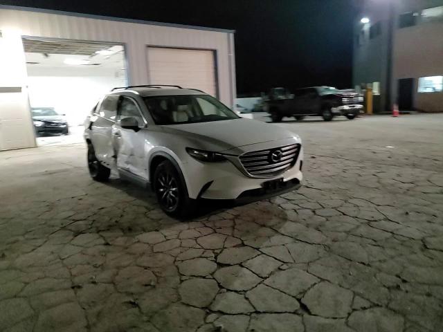 2016 Mazda CX-9 VIN JM3TCBCY3G0101519 Copart auction photo, side / rear end damage thumbnail 11