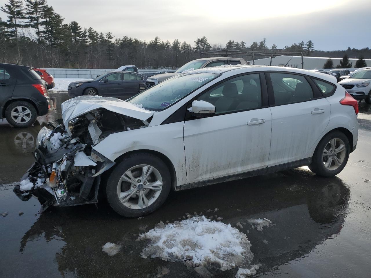 2013 Ford Focus VIN 1FADP3K29DL254801