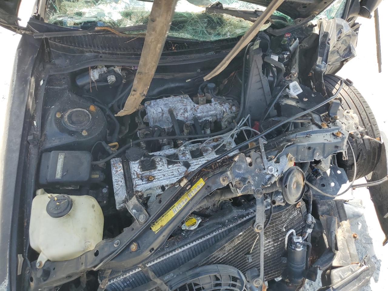 1997 Toyota Corolla VIN 1NXBB02E9VZ663736 Copart auction photo, all over damage thumbnail 12