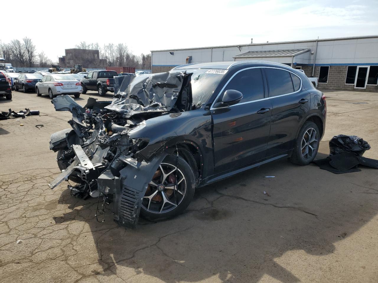 2020 Alfa Romeo Stelvio VIN ZASPAKBN7L7C82737 - Copart auction photo