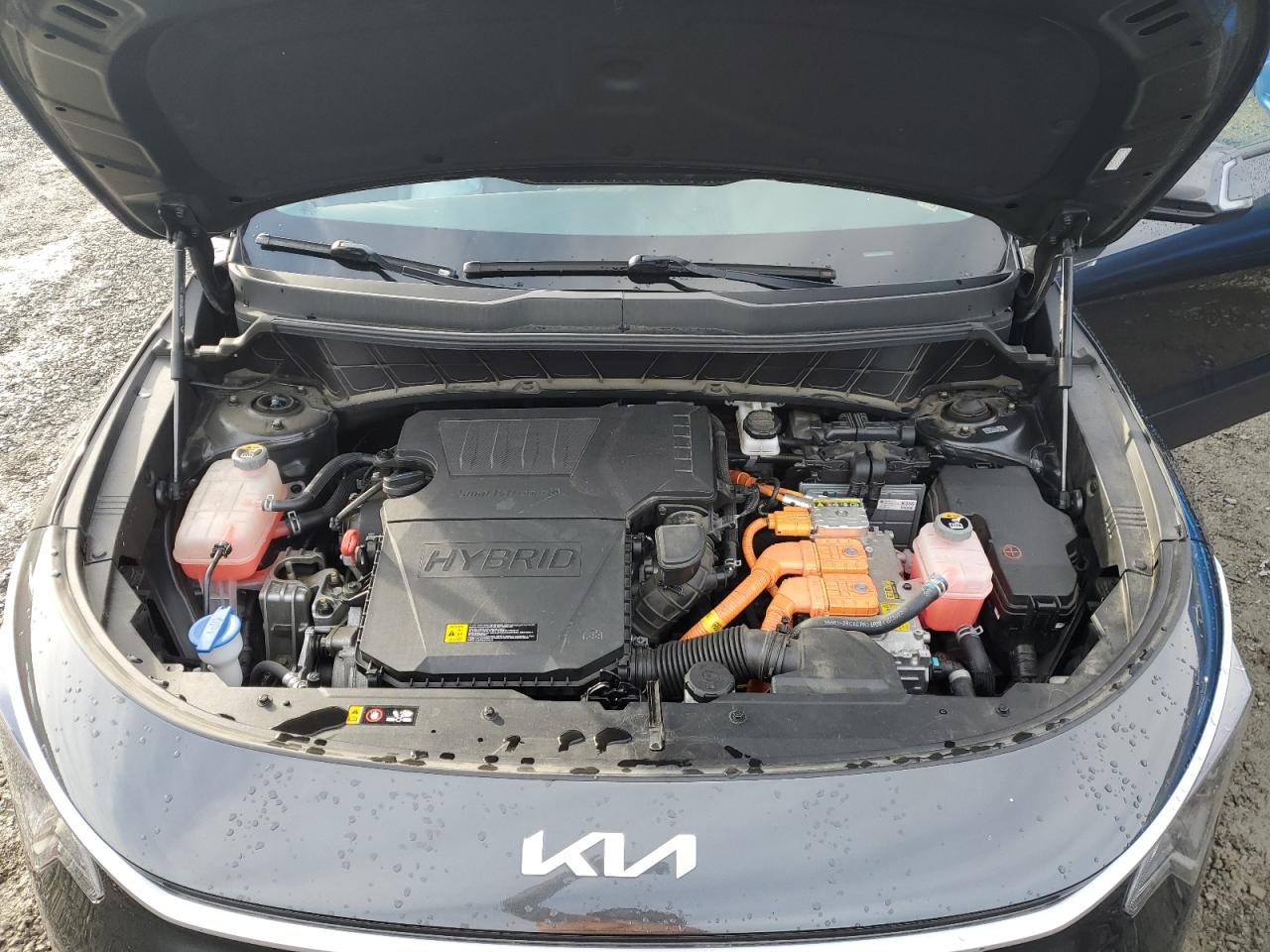 2023 KIA Niro VIN KNDCR3LE4P5035858 Copart auction photo, side / rear end damage thumbnail 12