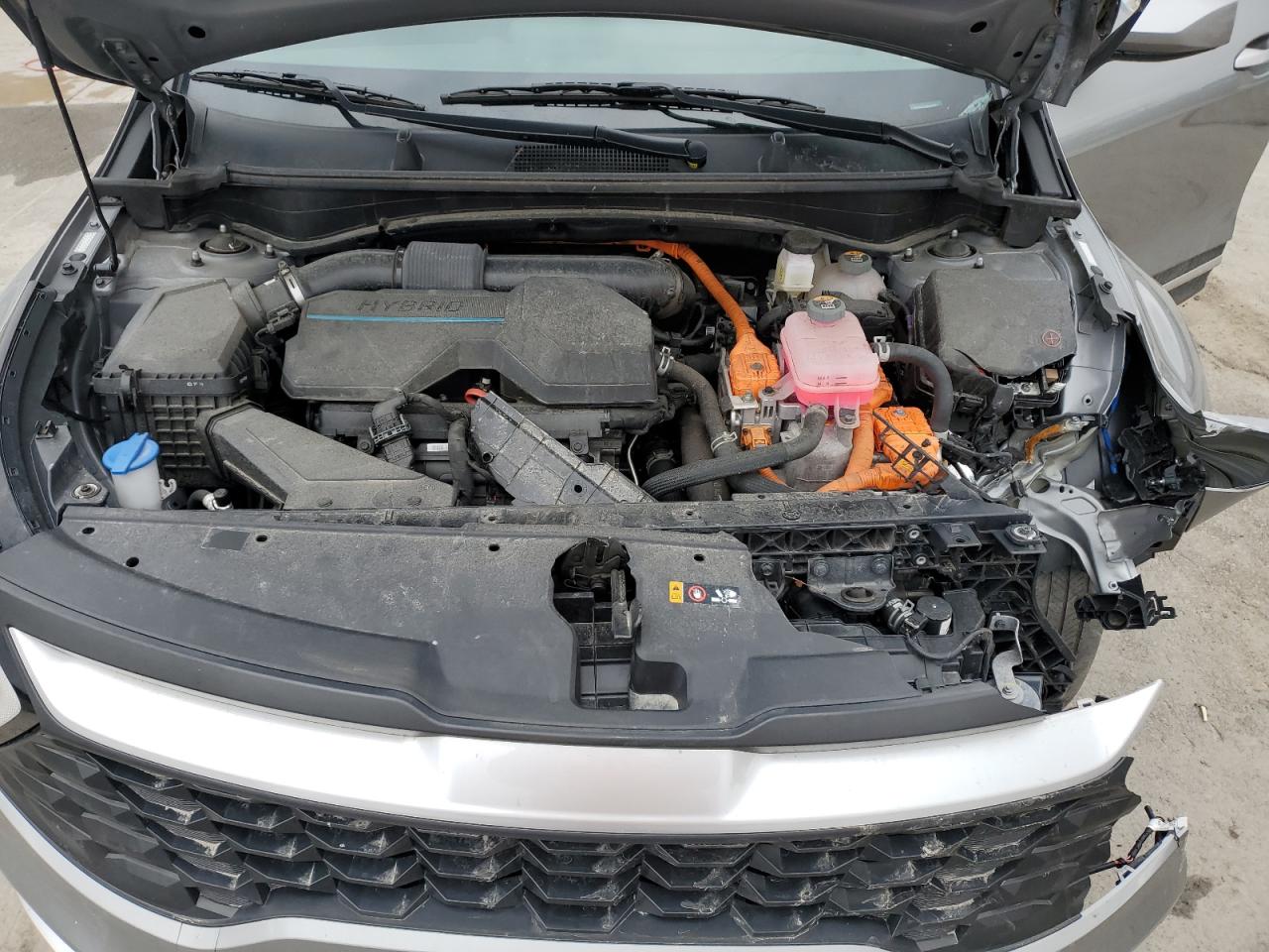 2023 KIA Sportage VIN KNDPUCAG6P7029990 Copart auction photo, front end damage thumbnail 12