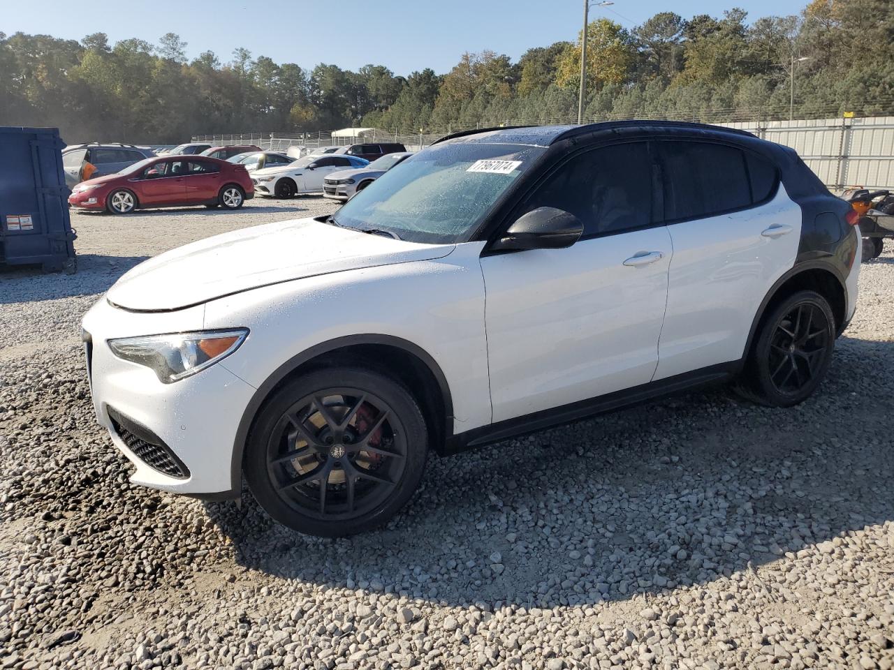 2019 Alfa Romeo Stelvio VIN ZASPAKBN9K7C50404