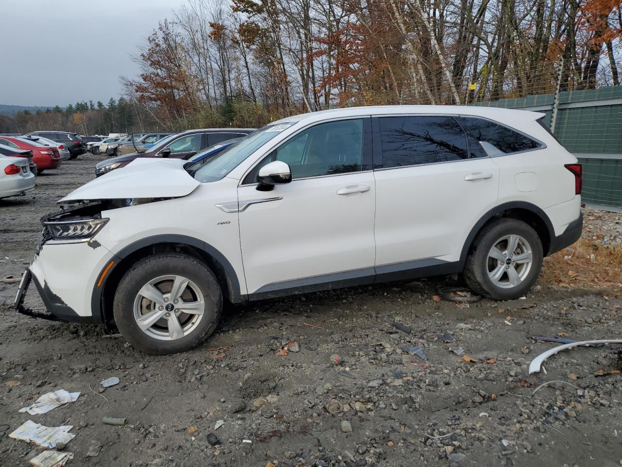 2021 KIA Sorento VIN 5XYRGDLC5MG023032