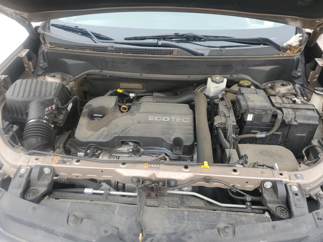 2019 Chevrolet Equinox VIN 2GNAXTEV6K6214157 Copart auction photo, rear end damage thumbnail 12
