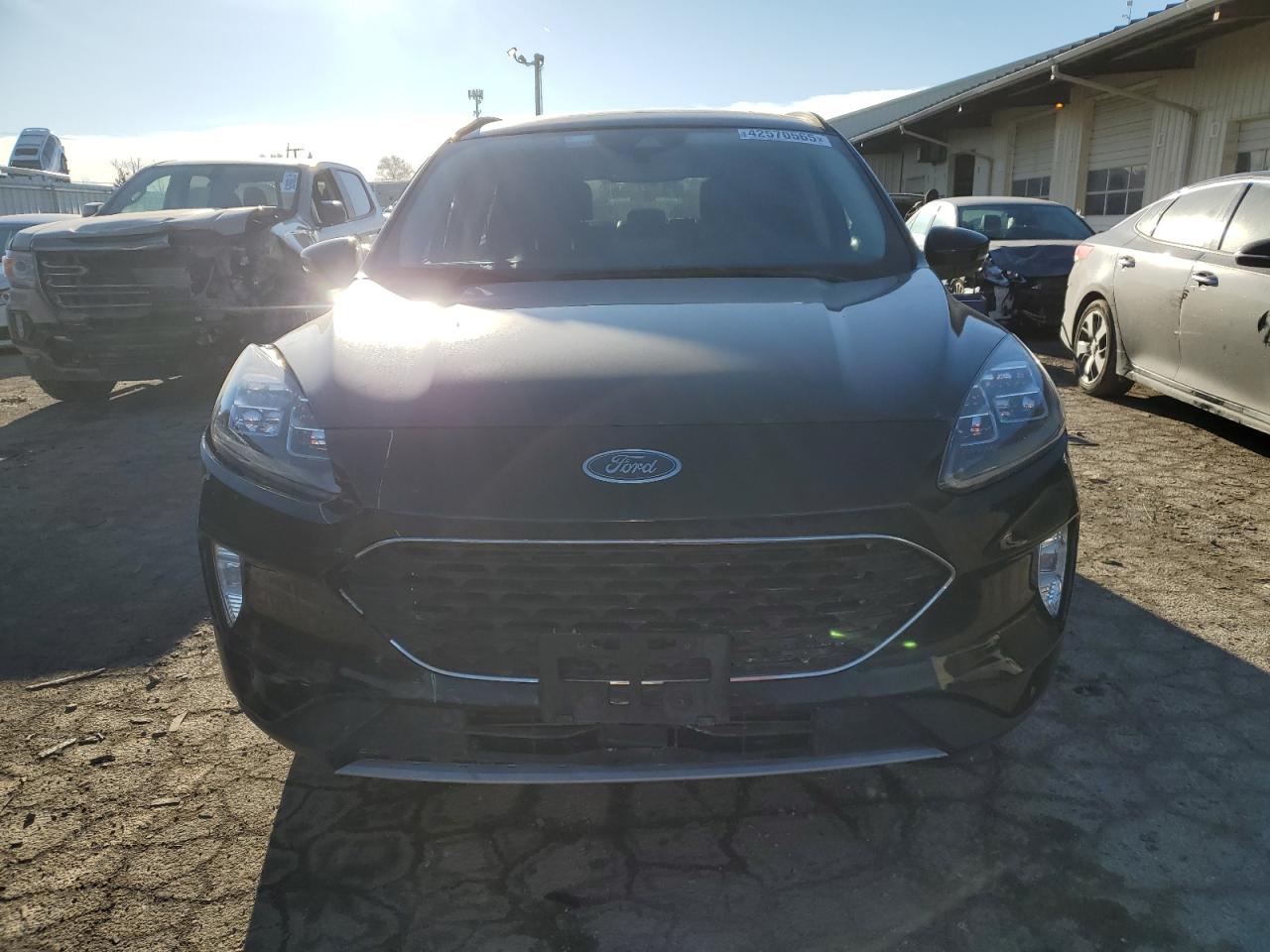 2020 Ford Escape VIN 1FMCU9J98LUC28212 Copart auction photo, front end / rear end damage thumbnail 5