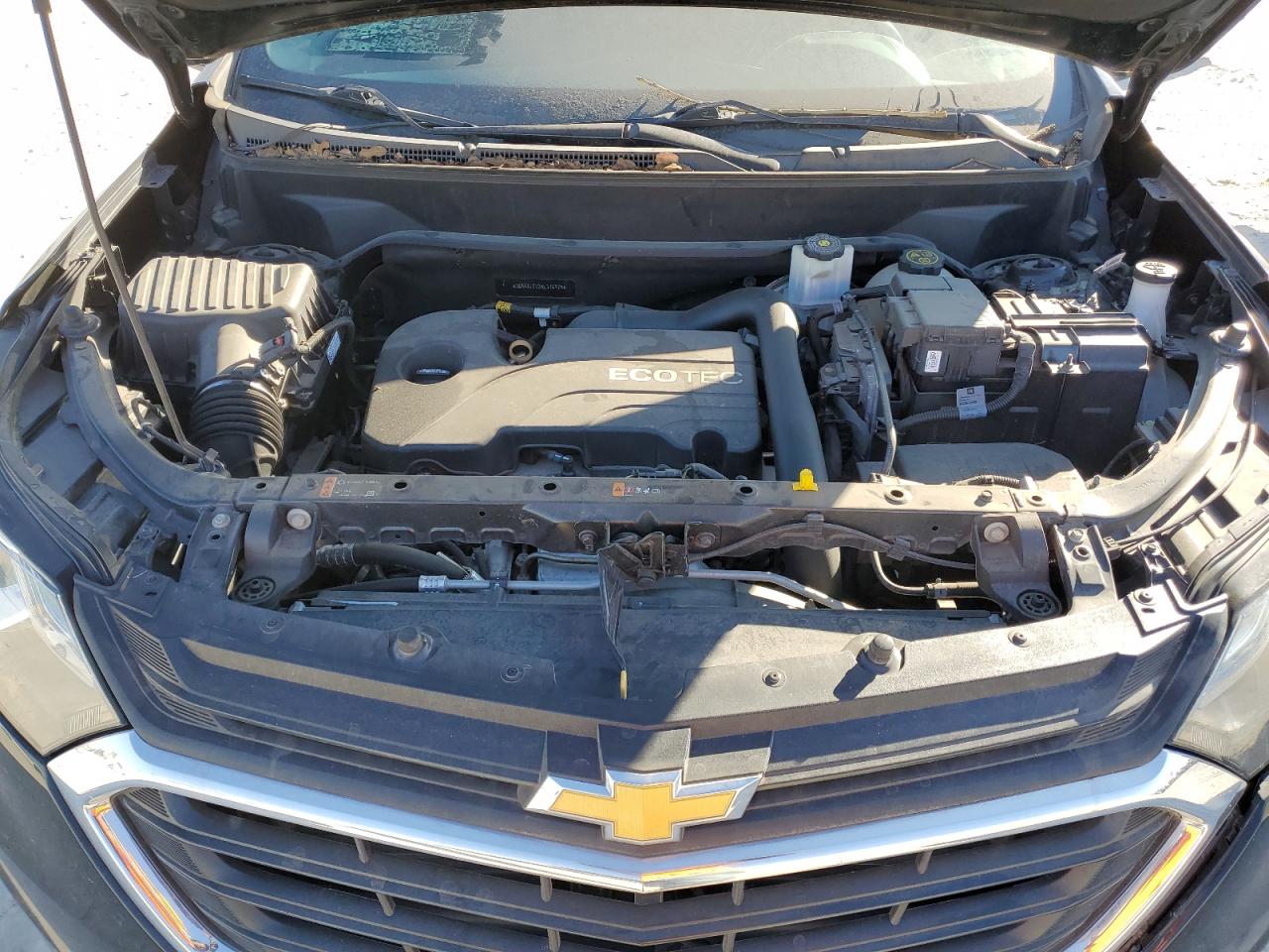 2019 Chevrolet Equinox VIN 3GNAXJEV2KL316975 Copart auction photo, rear end damage thumbnail 12