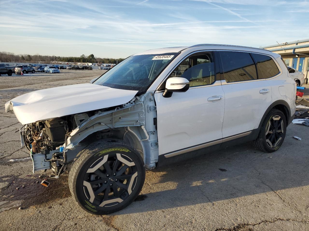2023 KIA Telluride VIN 5XYP3DGC5PG379241 - Copart auction photo