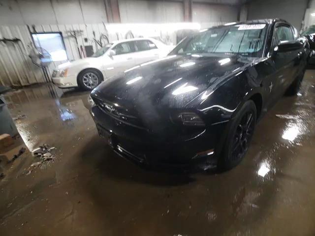 2013 Ford Mustang VIN 1ZVBP8AM5D5209101 Copart auction photo, side damage thumbnail 13