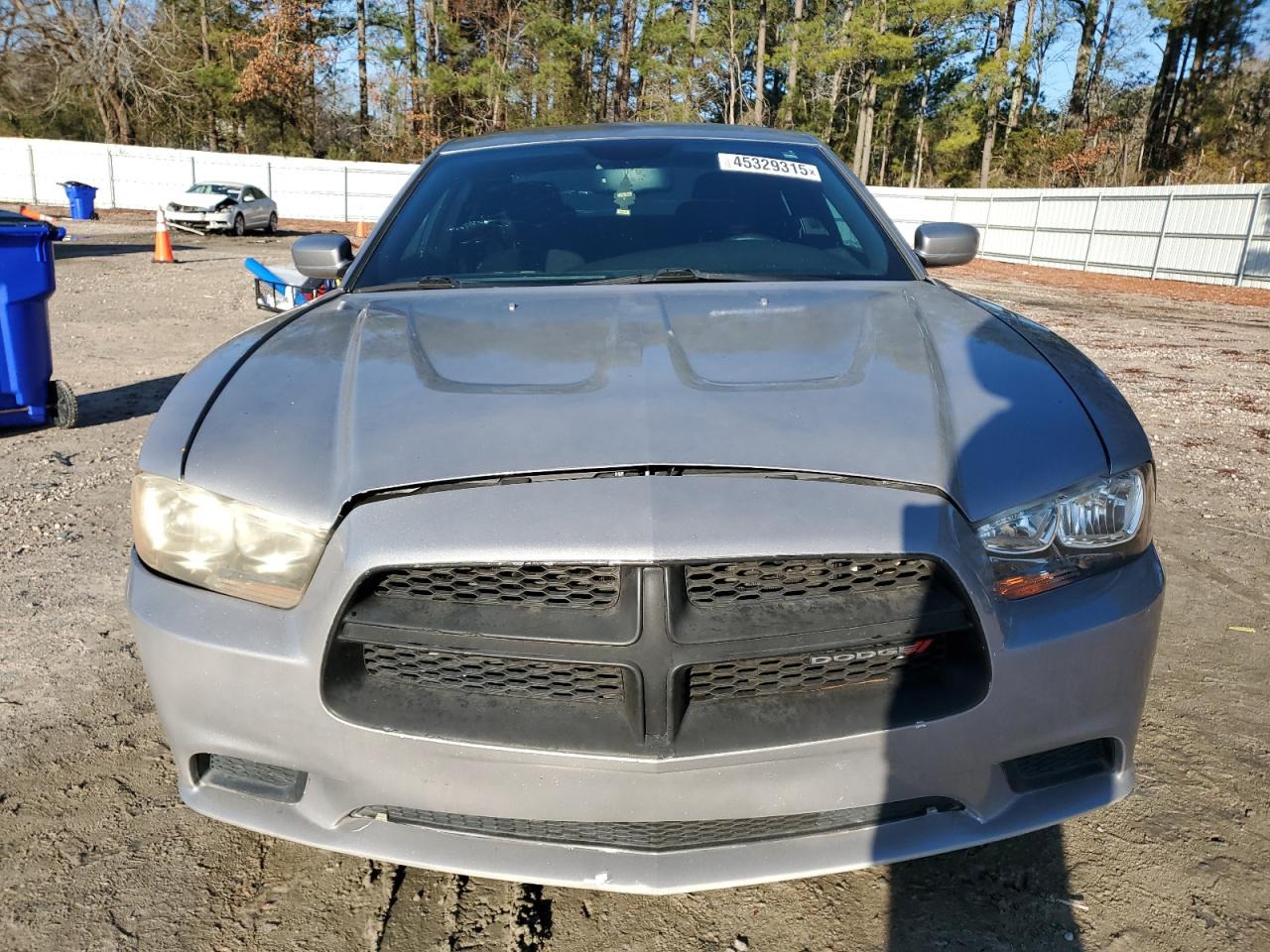 2013 Dodge Charger VIN 2C3CDXBG7DH730370 Copart auction photo, normal wear / minor dent/scratches damage thumbnail 5