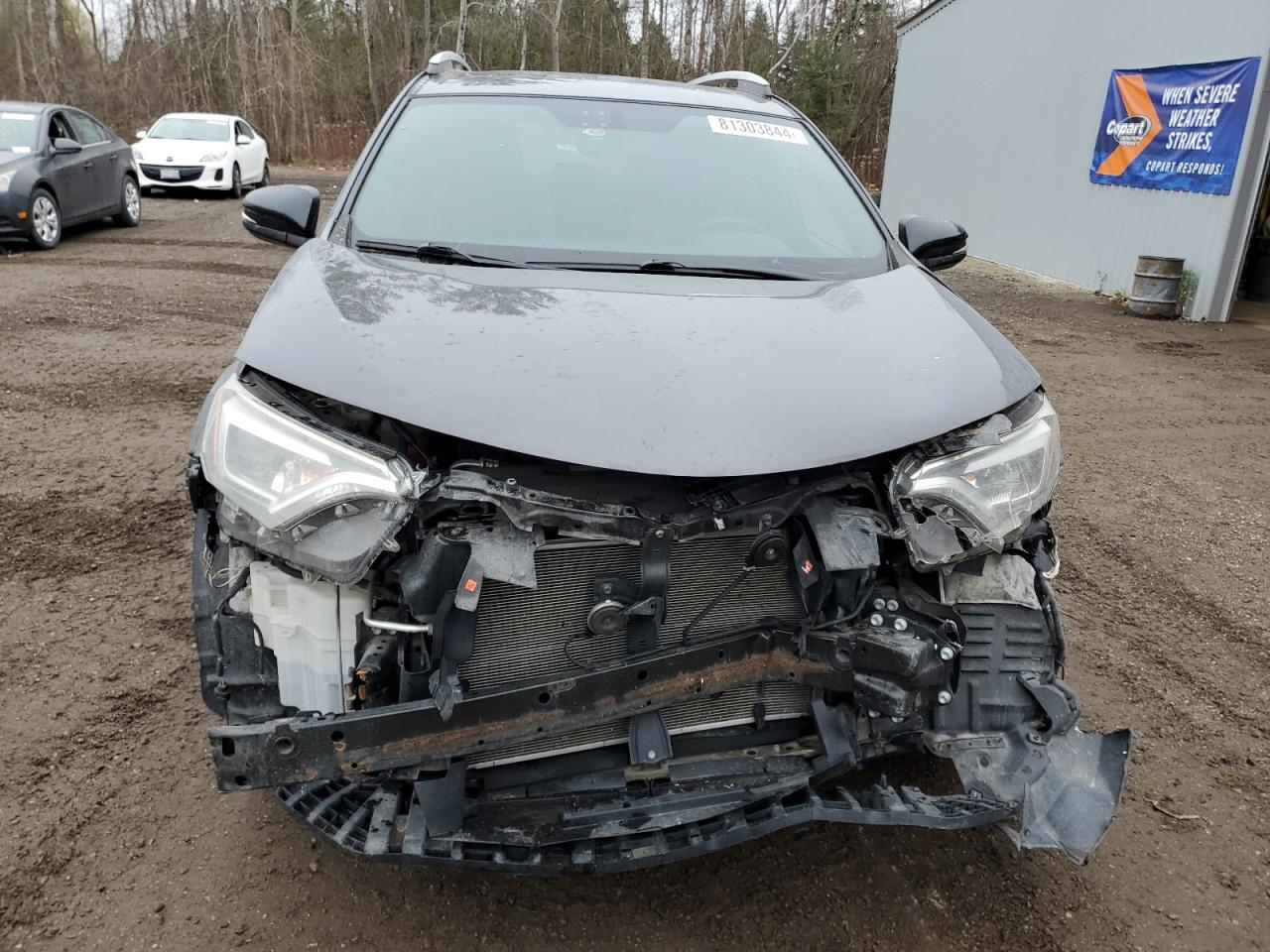 2016 Toyota RAV 4 VIN 2T3JFREV7GW475484 Copart auction photo, front end / side damage thumbnail 5