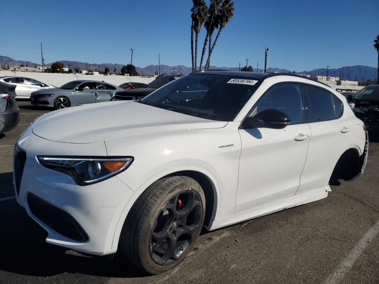2022 Alfa Romeo Stelvio VIN ZASPAKBN3N7D41558