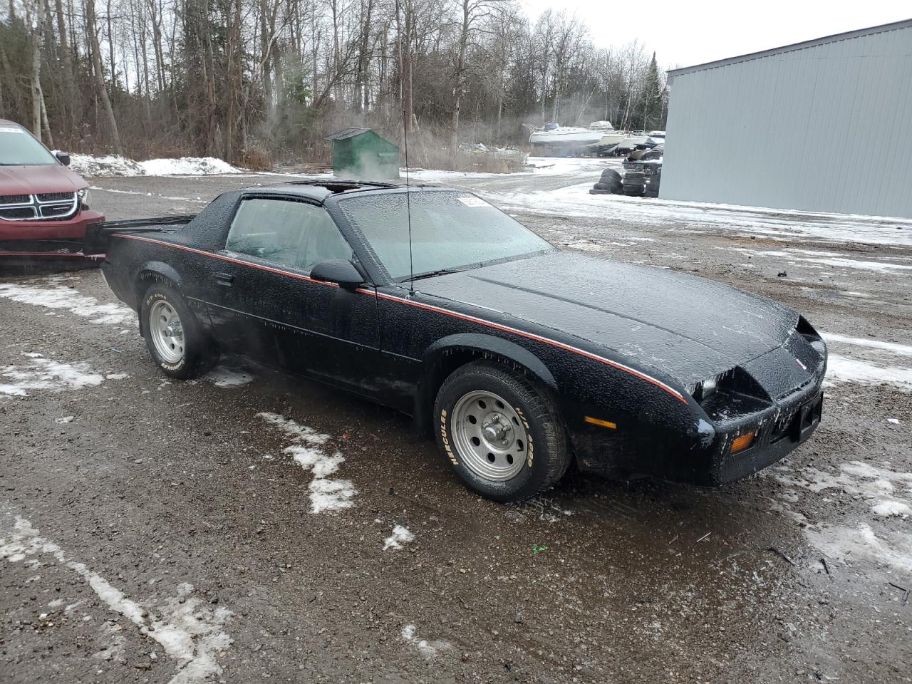 1985 Chevrolet Camaro VIN 1G1FP87SXFN101966 Copart auction photo, burn / minor dent/scratches damage thumbnail 4