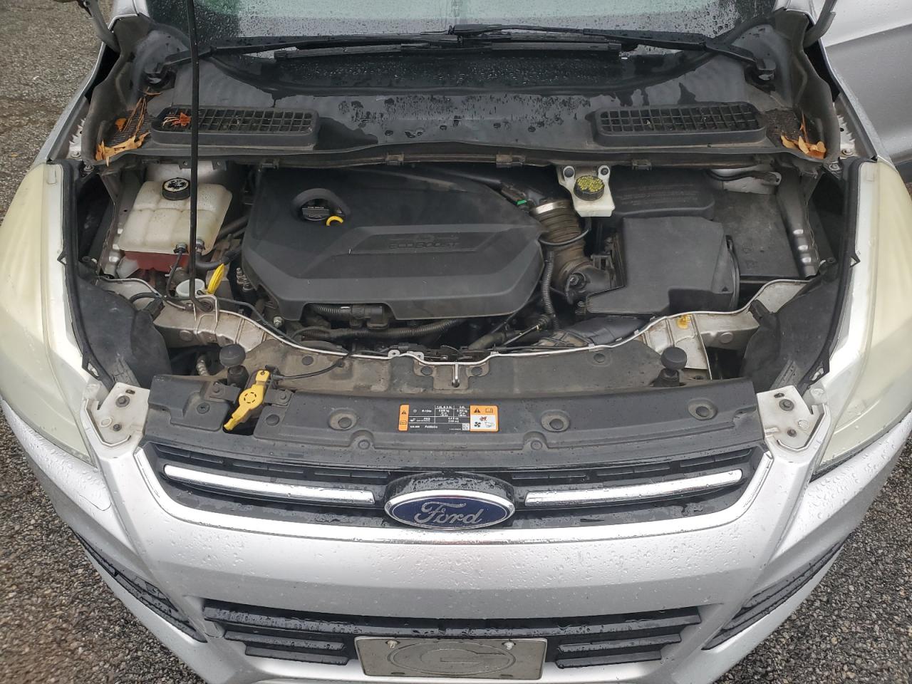 2014 Ford Escape VIN 1FMCU0JX3EUD73607 Copart auction photo, rear end damage thumbnail 12